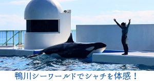 鴨川シーワールド