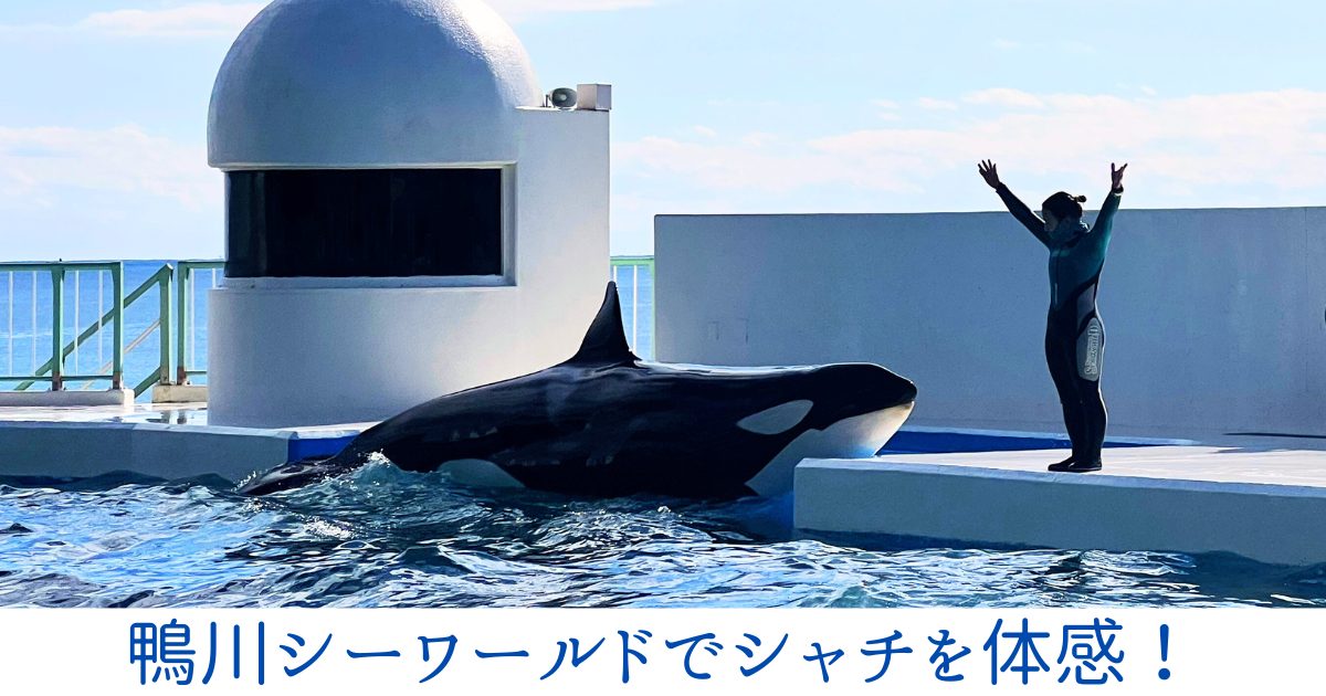 鴨川シーワールド