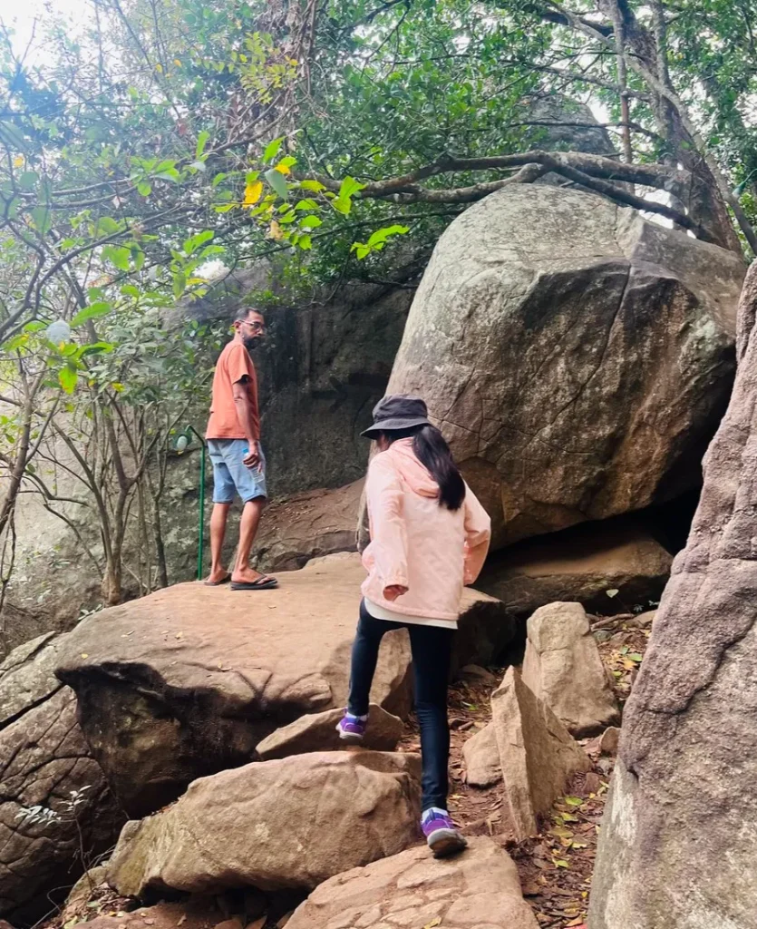 スリランカ旅行の移動手段｜イーツアーズ利用体験レポ