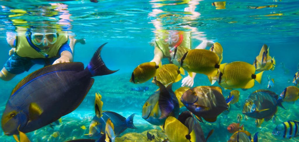 アウラニディズニーリゾート｜熱帯魚がいるプール