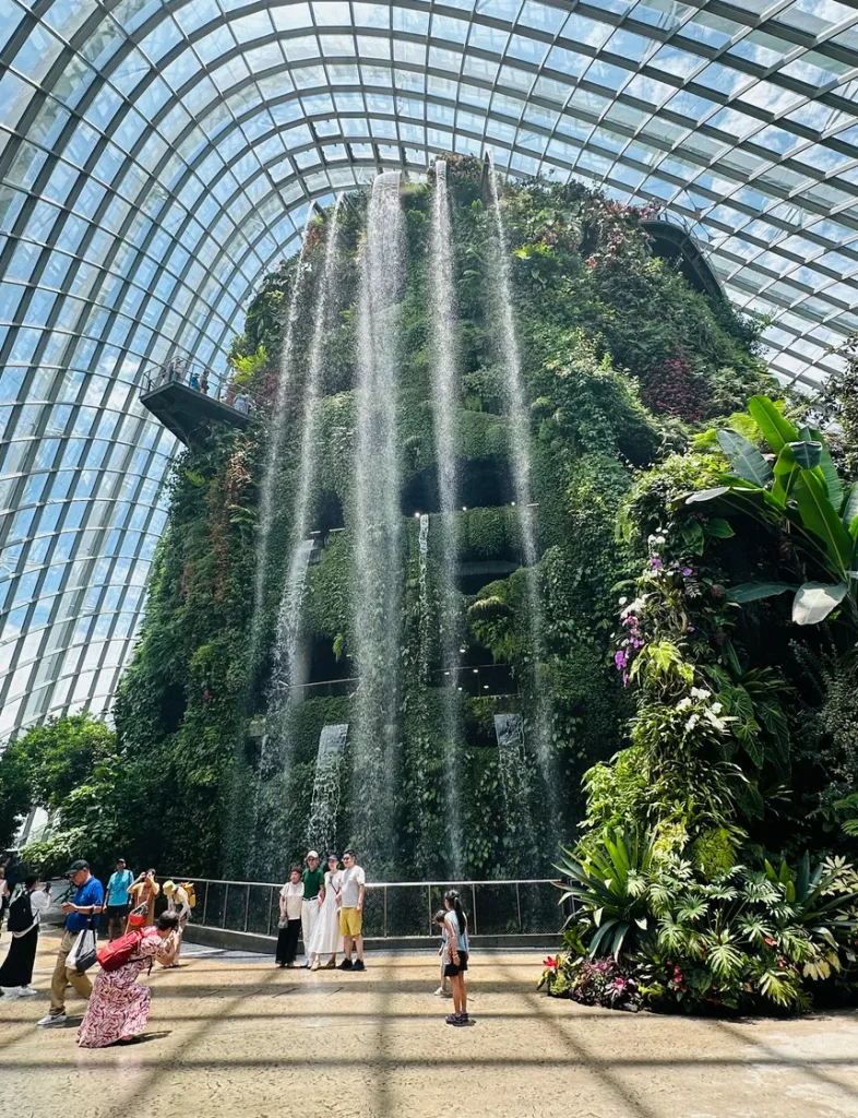 ガーデンズバイザベイクラウドフォレスト