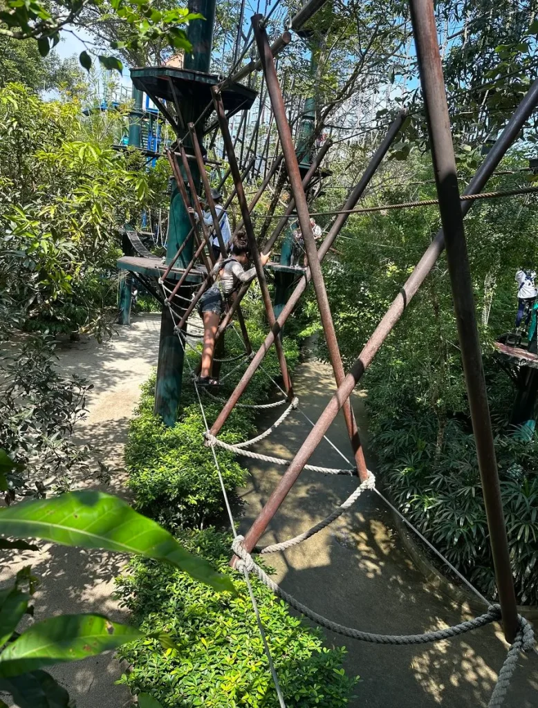 ESCAPE エスケープペナンアスレチック