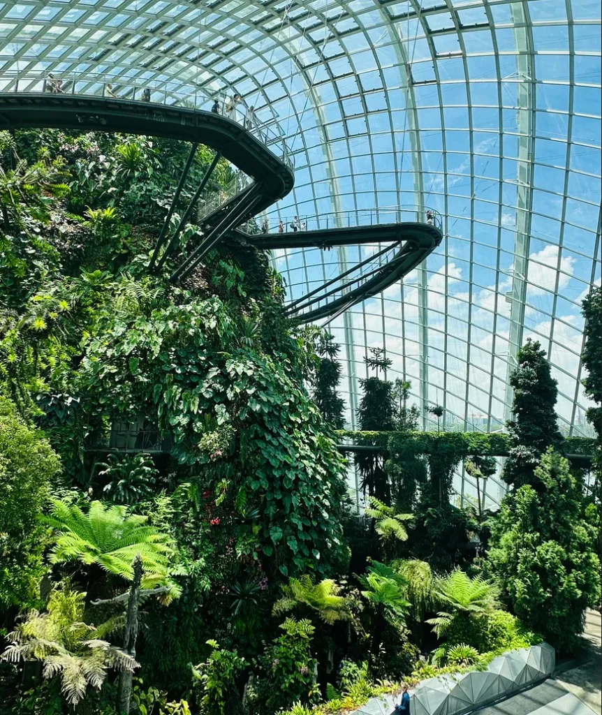 ガーデンズバイザベイクラウドフォレスト内部