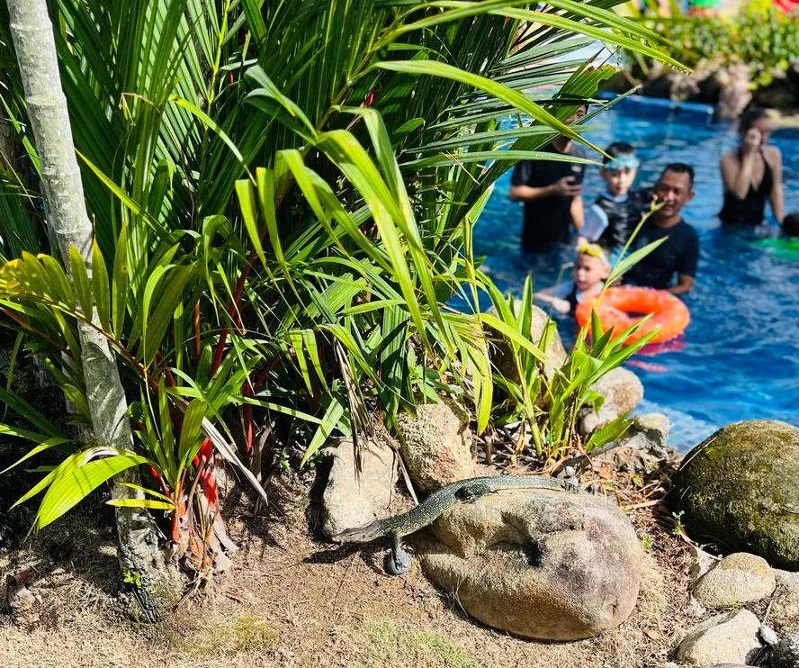 シャングリラ ゴールデン サンズ ペナン (Shangri-La Golden Sands, Penang)プール