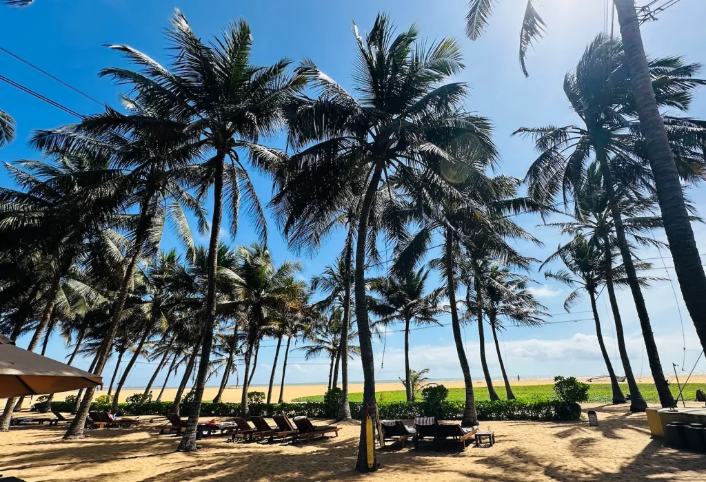 ジェットウィングビーチホテルプライベートビーチ｜スリランカバワ建築｜宿泊記