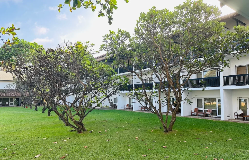 ジェットウィングブルーホテル｜客室例｜スリランカニゴンボ｜宿泊記