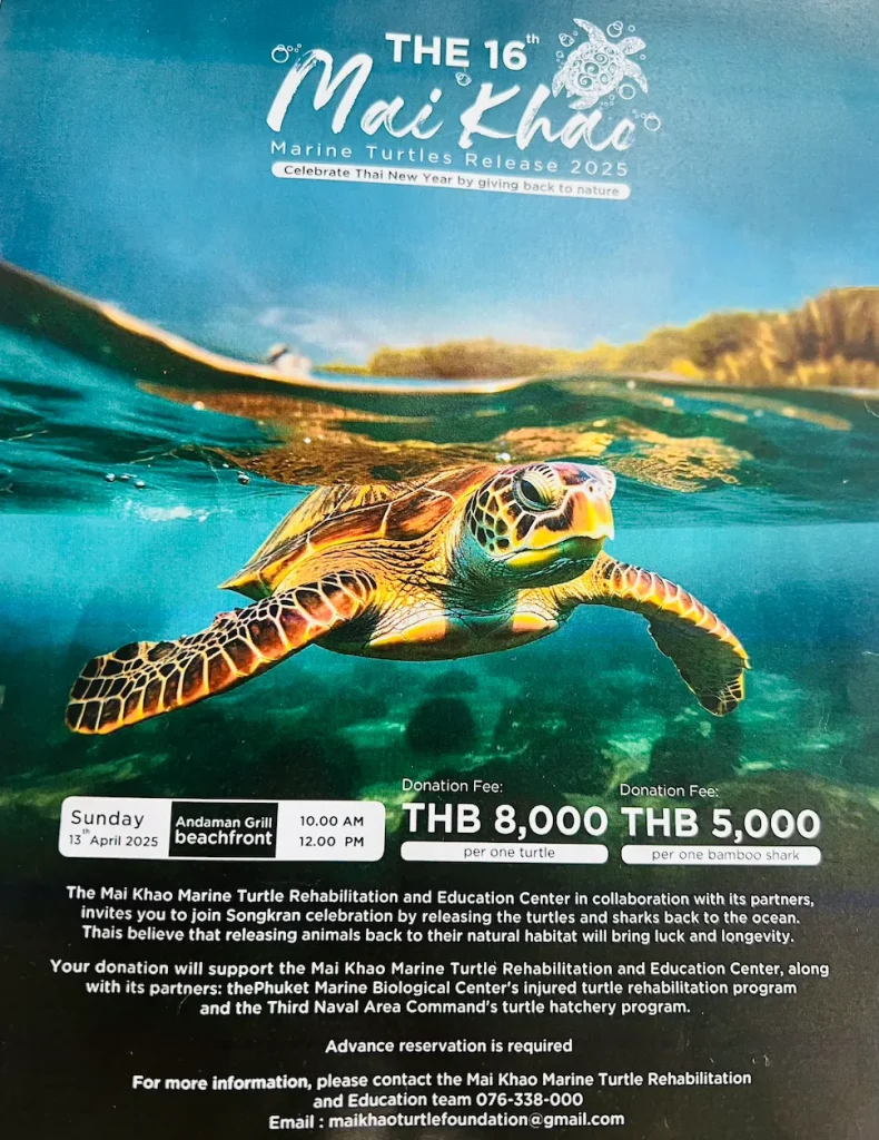 子連れにおすすめ!JWマリオット プーケット リゾート&スパ|海亀放流イベント