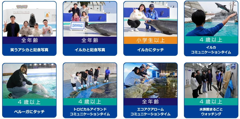 鴨川シーワールド｜館内で体験できるプログラム｜イルカ、アシカと記念撮影など