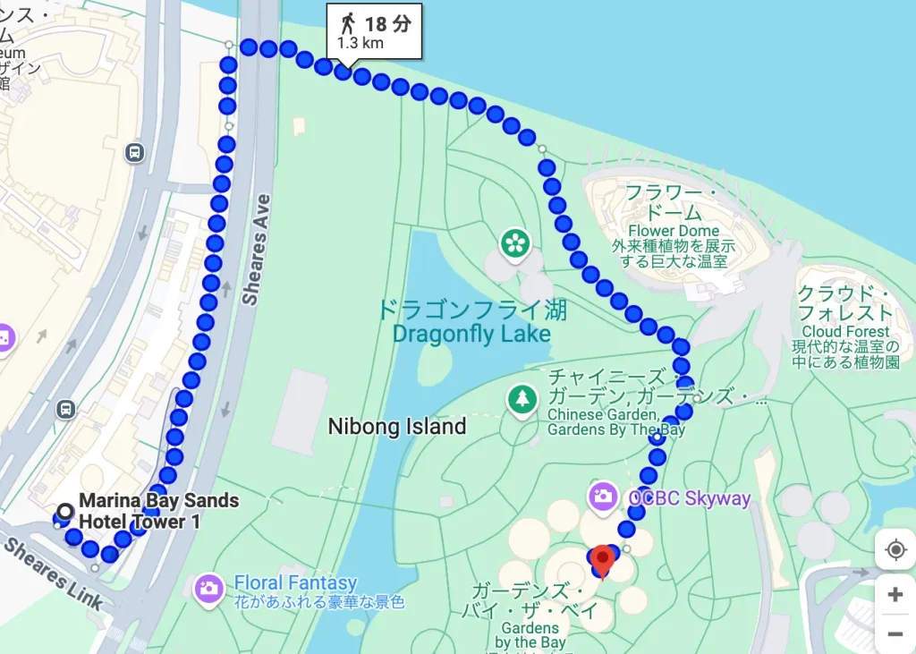 マリーナベイサンズからガーデンズバイザベイ への歩き方