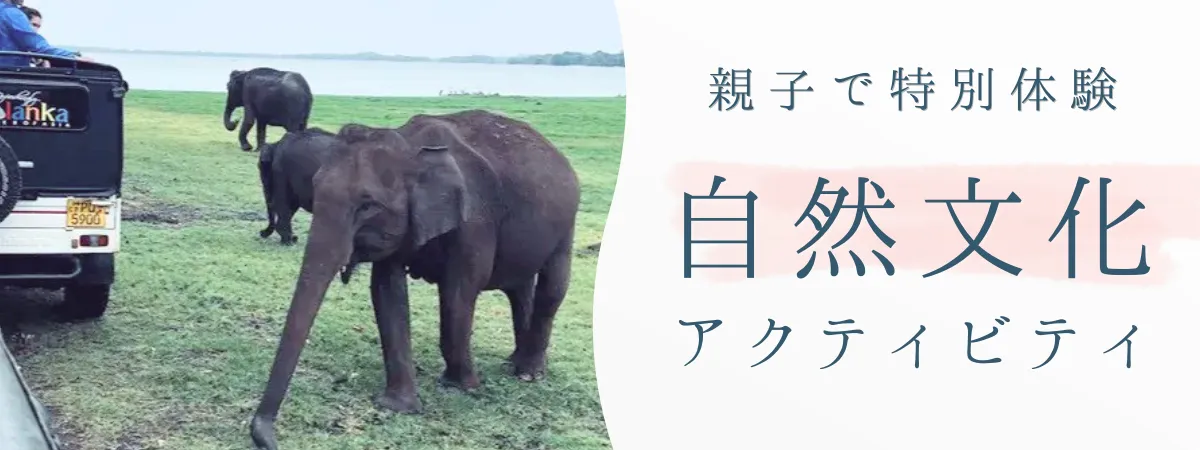 自然文化体験アクティビティ｜子連れ旅