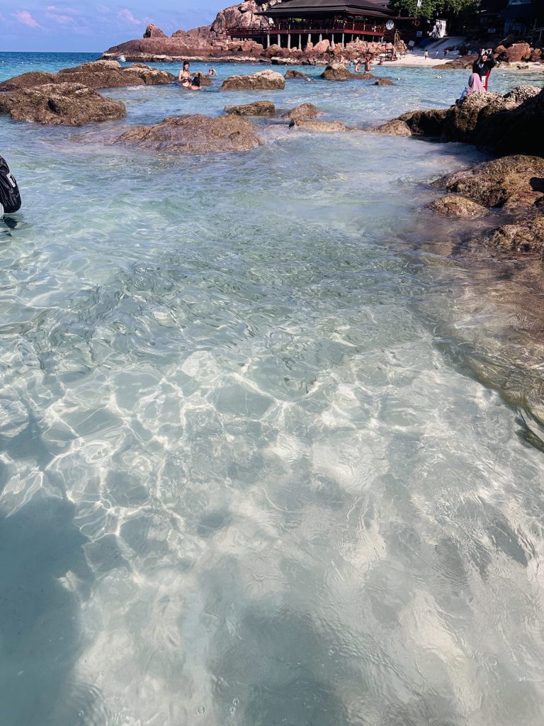 レダン島ロングビーチにいる魚