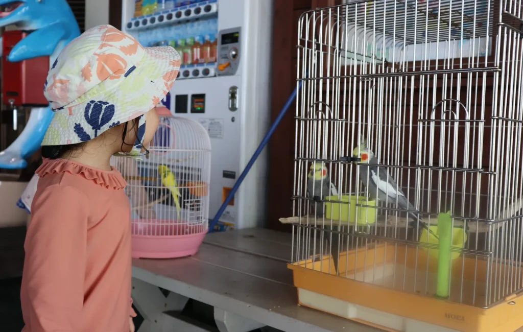 ルネッサンスリゾートオキナワ子連れ宿泊レポ｜ミニ動物園