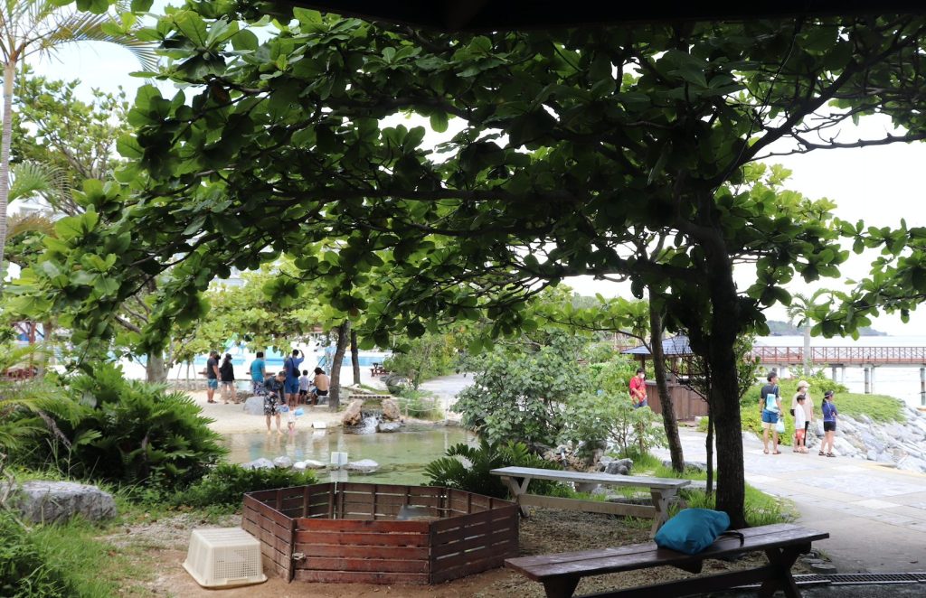 ルネッサンスリゾートオキナワ子連れ宿泊レポ｜ミニ動物園