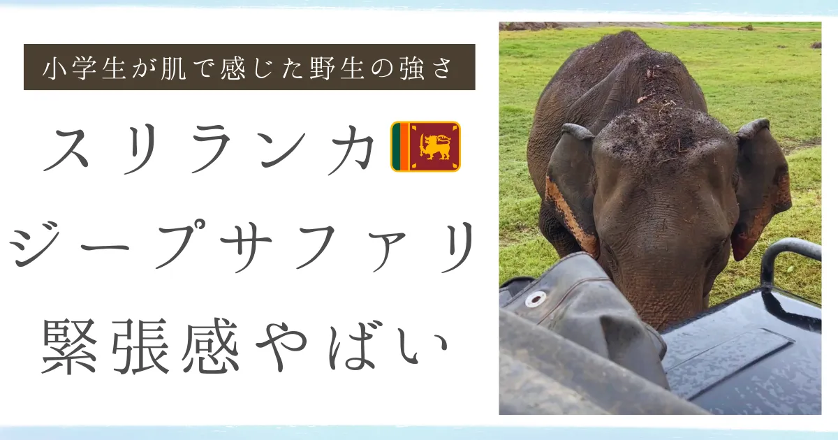 【体験談】スリランカ子連れ旅・ミンネリア国立公園のジープサファリの怖い体験