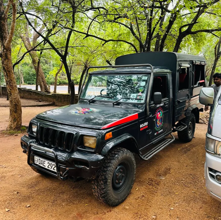 【体験談】スリランカ子連れ旅・ミンネリア国立公園のジープサファリ