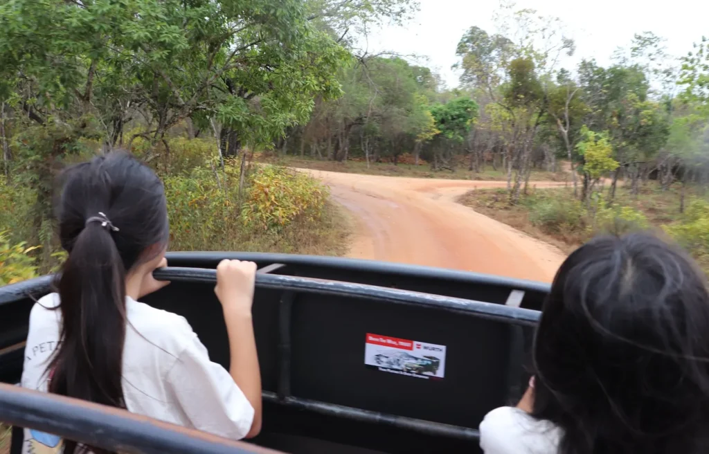 【体験談】スリランカ子連れ旅・ミンネリア国立公園のジープサファリ