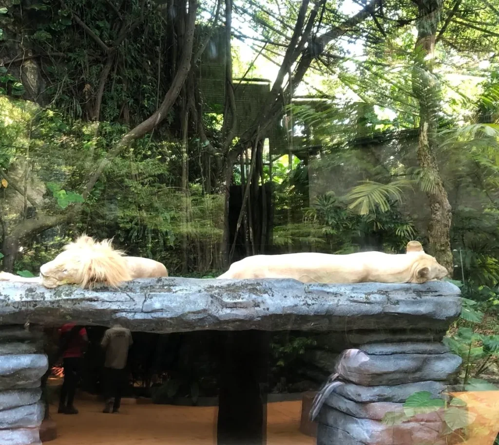 sunwaylagoonサンウェイラグーンワイルドパーク