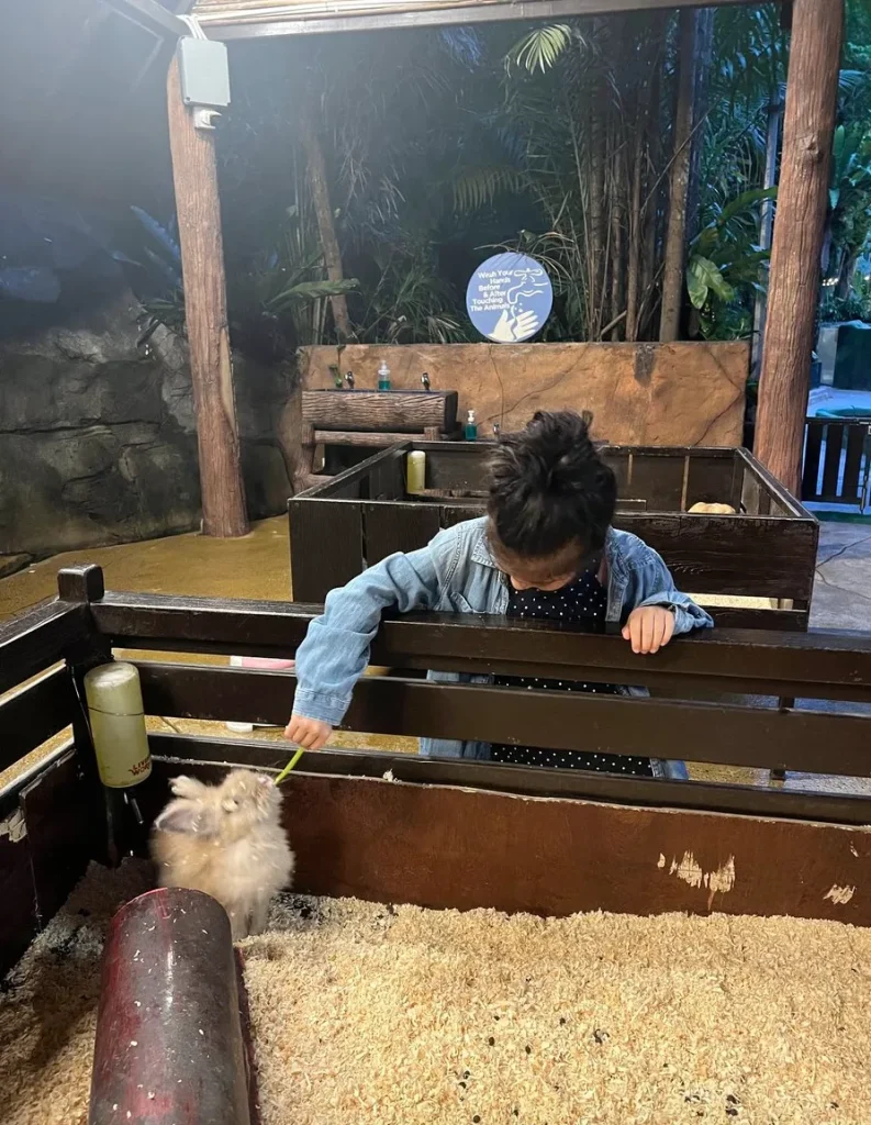 sunwaylagoonサンウェイラグーンフィード体験