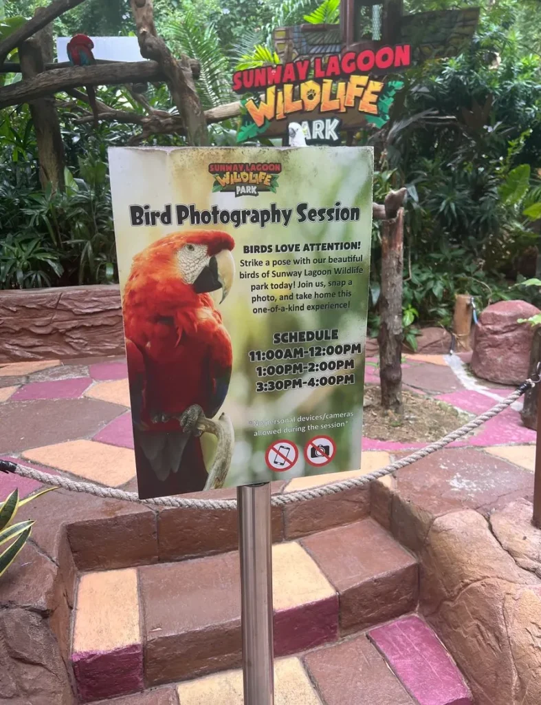 sunwaylagoonサンウェイラグーンワイルドパーク写真撮影時間